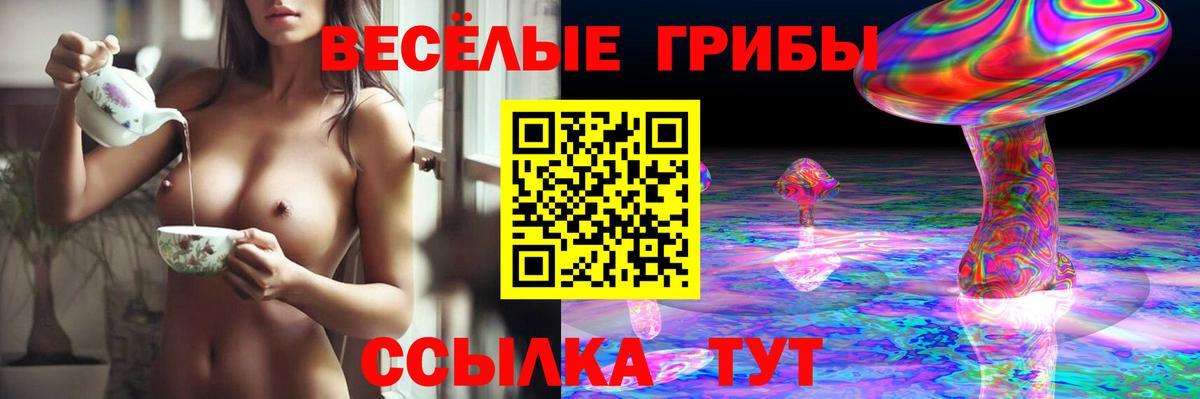 Галлюциногенные грибы ЛСД Курган