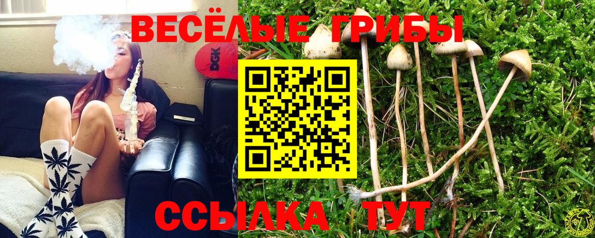 Псилоцибиновые грибы Psilocybine cubensis  Вход с VPN  Галлюциногенные грибы Psilocybe  Курган 